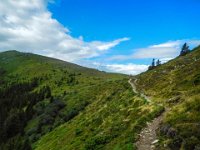 026 zum Peterer Sattel