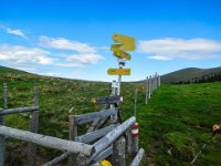 027 am Peterer Sattel 1745 m