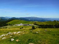 062 Richtung Altes Almhaus