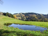 015 Kleiner Teich im Hintergrund der Ebenschlag