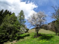 032 endlich Fruehling