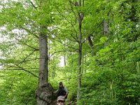 004 durch den schoenen Wald