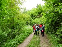 005 ueber eine Forststrasse