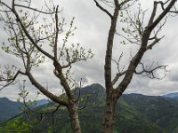 011 Schiffal und Kreuzkogel sind gegenueber