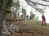 016 auf eine Lichtung