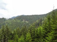 005 erster Blick zu unererm Ziel