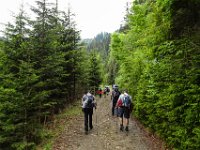 006 ueber die Forststrasse