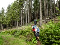 009 geht es nach oben