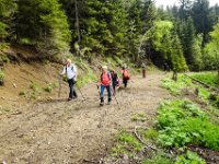 011 auf der Forststrasse