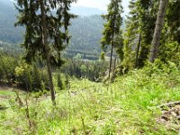 014 Tiefblick zur Hofalm