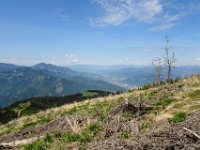 024 zum markierten Steig mit Blick nach Bruck an der Mur