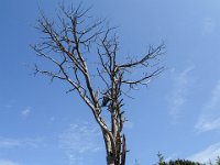 026 einfach nur schoen