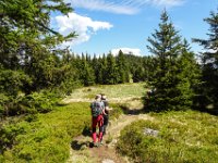 027 auf der Hochflaeche mit Blick zum Gipfel