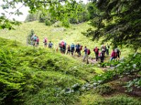 020 hinaus aus dem Wald