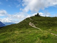 028 beim Abstieg zur Walleralm ein Blick zurueck zum Kreuzbichl
