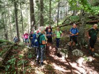 033 erst im Wald nach oben