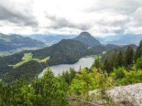 037 weil er so schoen ist