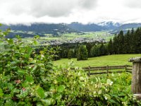 044 Abstieg von der Steiner Hochalm mit Blick Ellmau