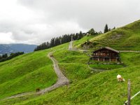 055 die verbotene Weide bewacht der Stier