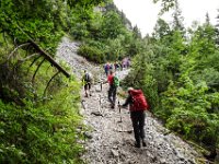 063 und wieder hinaus aus dem Wald