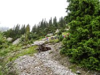 064 schoener Aufstieg