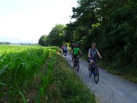 008 wunderbarer Radweg