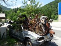 023 was in so einem Auto alles waechst