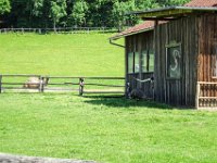 016 in Ratschendorf besuchen wir den Kamelhof, hier gibte es auch einen Emu