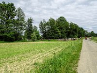 045 weiter geht es am Gnastal Radweg