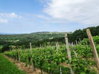 080 auf die Weinberge