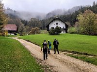 003 Aufstieg ueber die Forststrasse