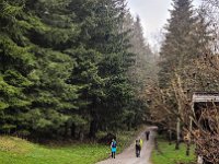 009 weiter im Aufstieg