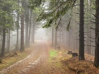 014 der Nebel wird nicht weniger