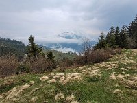 020 mit Blick zu einem Jagdhaus