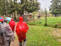 005 vorbei an einem Gehege