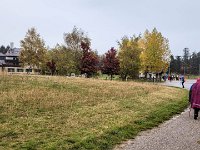 009 bereits in Sicht