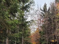 022 dann geht es zurueck