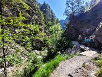 019 es gibt viel zu sehen