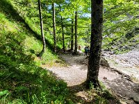 020 auch ein wenig Schatten