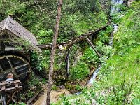 040 versteckt im Wald