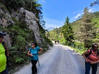 046 auf einer Forststrasse mit Oetscherblick