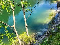 050 mit jeder Menge Fische darin