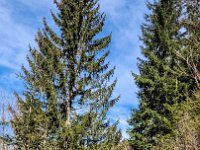 004 ein wunderbarer Tag