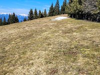 018 50 Meter unterhalb sind sie schon besser zu sehen