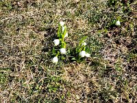 019 brauchen aber auch noch etwas Zeit