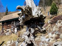 029 Neuer Kopf vor der Huette