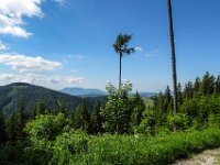 037 zwischendurch ein Blick zum Schoeckel