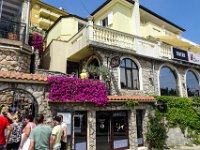 069 wunderschoene Blumen