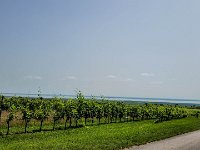 070 Abfahrt mit Blick Neusiedlersee