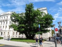 001 Ankunft in Ljubljana